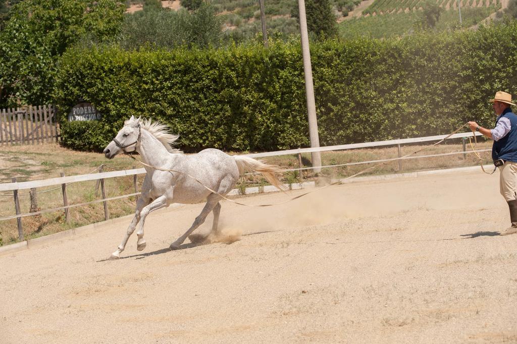 Podere Il Poggiolo Pontassieve Zewnętrze zdjęcie