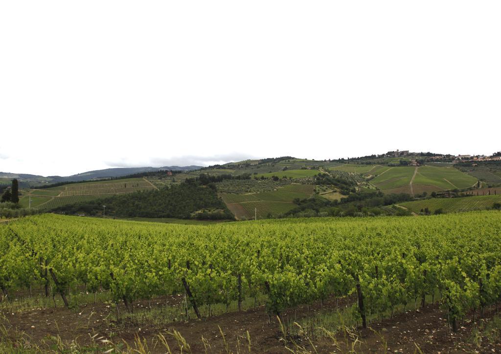 Podere Il Poggiolo Pontassieve Zewnętrze zdjęcie