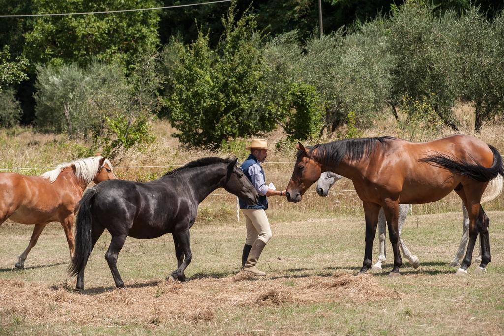 Podere Il Poggiolo Pontassieve Zewnętrze zdjęcie