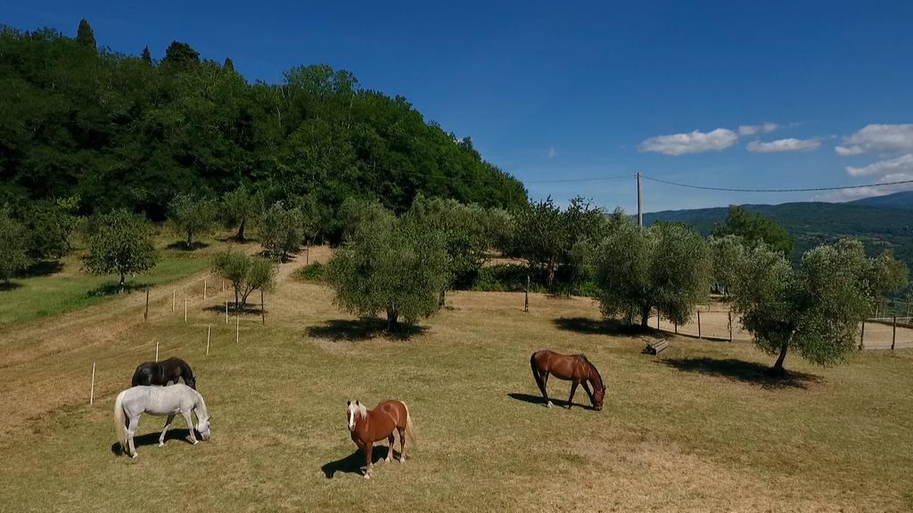 Podere Il Poggiolo Pontassieve Zewnętrze zdjęcie